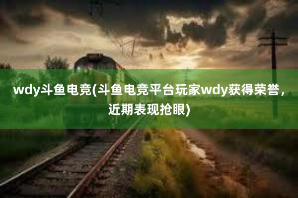 wdy斗鱼电竞(斗鱼电竞平台玩家wdy获得荣誉，近期表现抢眼)