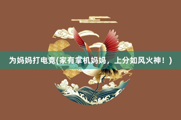 为妈妈打电竞(家有掌机妈妈，上分如风火神！)