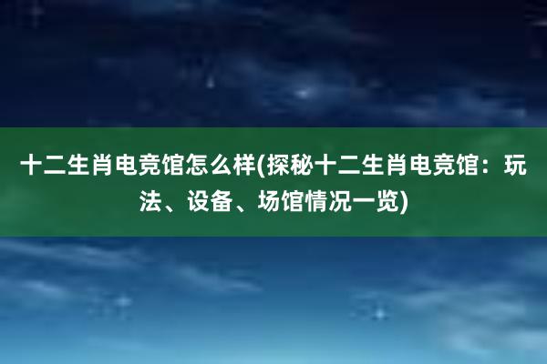 十二生肖电竞馆怎么样(探秘十二生肖电竞馆：玩法、设备、场馆情况一览)