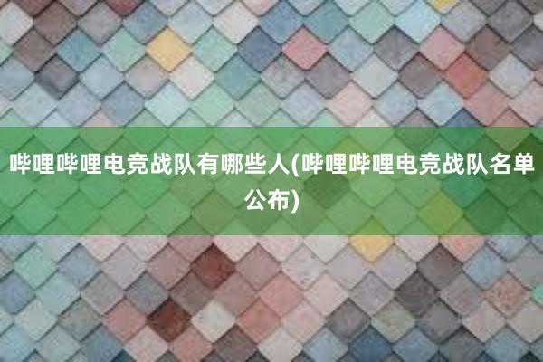 哔哩哔哩电竞战队有哪些人(哔哩哔哩电竞战队名单公布)