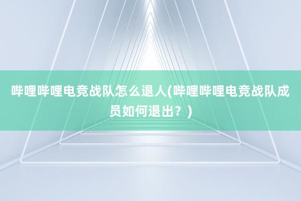 哔哩哔哩电竞战队怎么退人(哔哩哔哩电竞战队成员如何退出？)