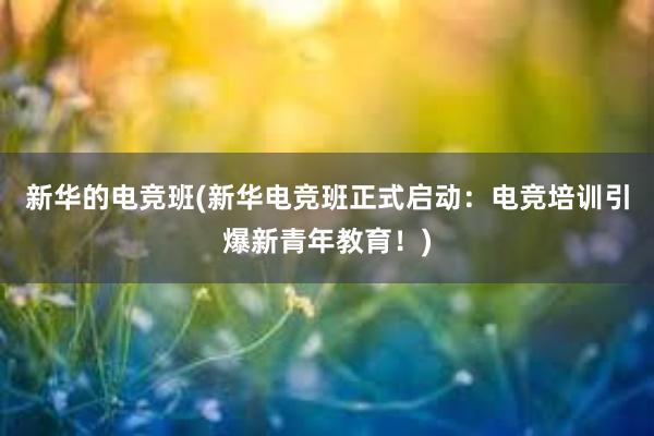 新华的电竞班(新华电竞班正式启动：电竞培训引爆新青年教育！)