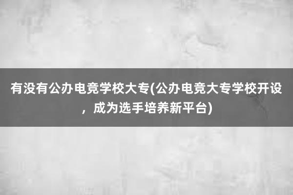 有没有公办电竞学校大专(公办电竞大专学校开设，成为选手培养新平台)