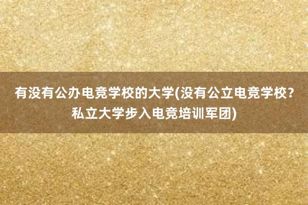 有没有公办电竞学校的大学(没有公立电竞学校？私立大学步入电竞培训军团)