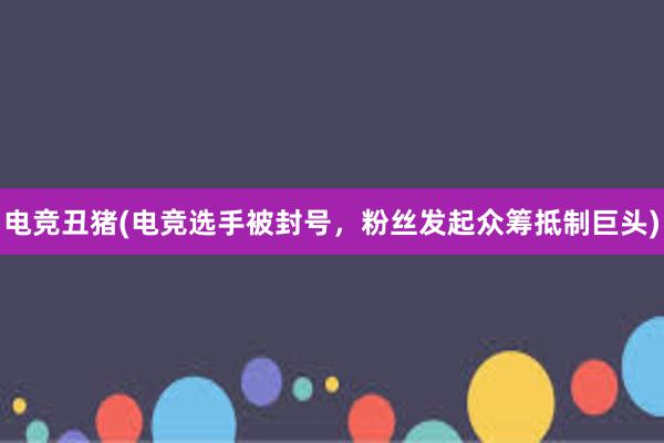 电竞丑猪(电竞选手被封号，粉丝发起众筹抵制巨头)