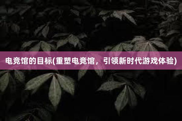 电竞馆的目标(重塑电竞馆，引领新时代游戏体验)