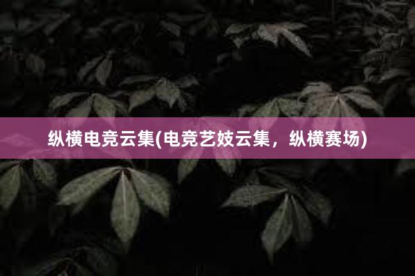 纵横电竞云集(电竞艺妓云集，纵横赛场)