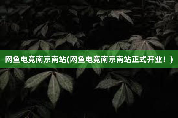 网鱼电竞南京南站(网鱼电竞南京南站正式开业！)