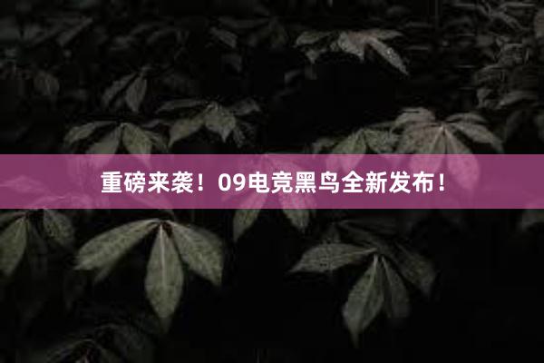 重磅来袭！09电竞黑鸟全新发布！