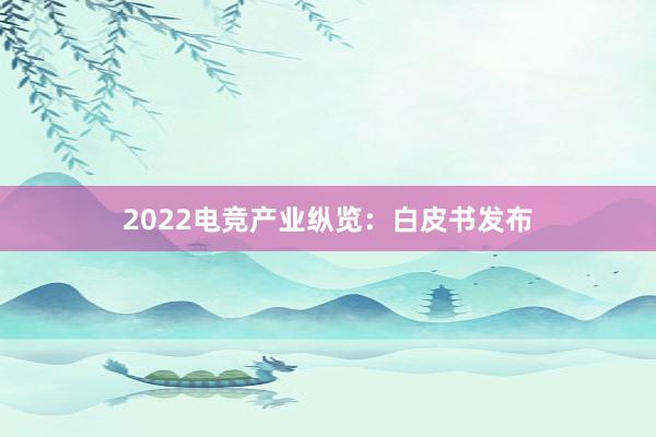 2022电竞产业纵览：白皮书发布