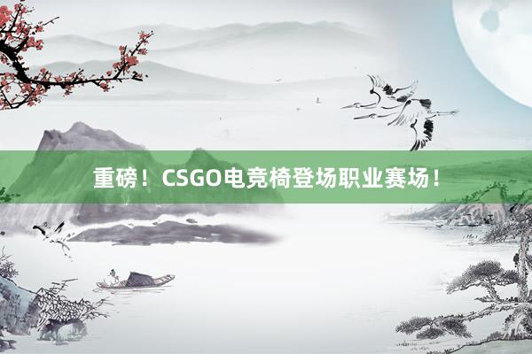 重磅！CSGO电竞椅登场职业赛场！