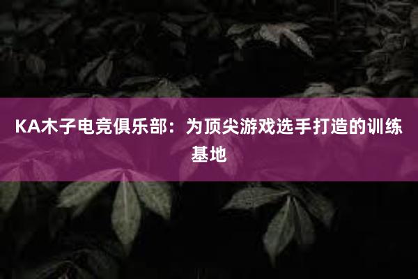 KA木子电竞俱乐部：为顶尖游戏选手打造的训练基地