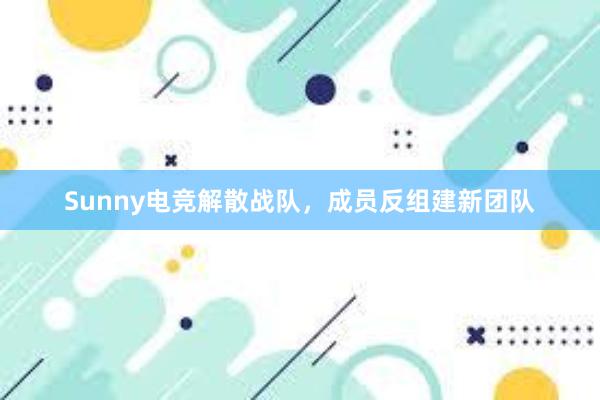 Sunny电竞解散战队，成员反组建新团队