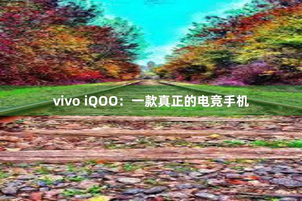 vivo iQOO：一款真正的电竞手机