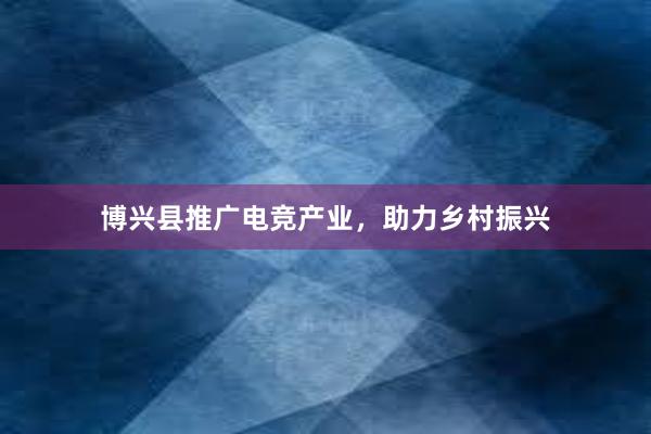 博兴县推广电竞产业，助力乡村振兴