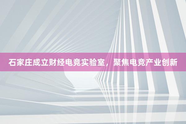 石家庄成立财经电竞实验室，聚焦电竞产业创新