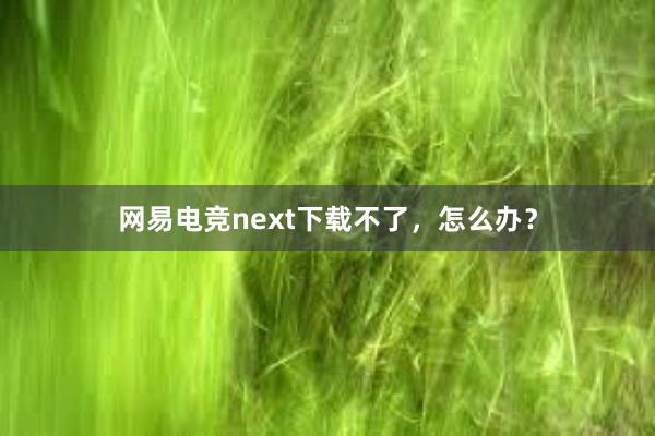 网易电竞next下载不了，怎么办？